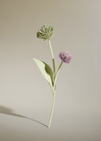 Tul Flower - Aloe — Decor