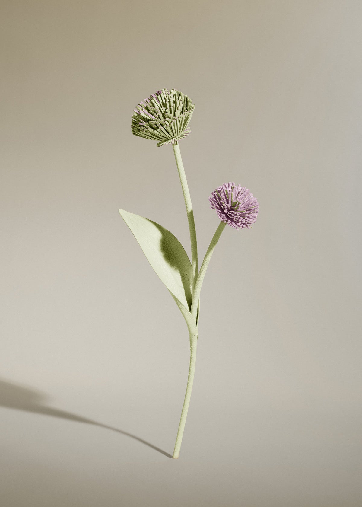 Tul Flower - Aloe — Decor