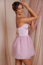 Women's Tulle Skirt Corset Mini Dress in Dusty Pink — Dress