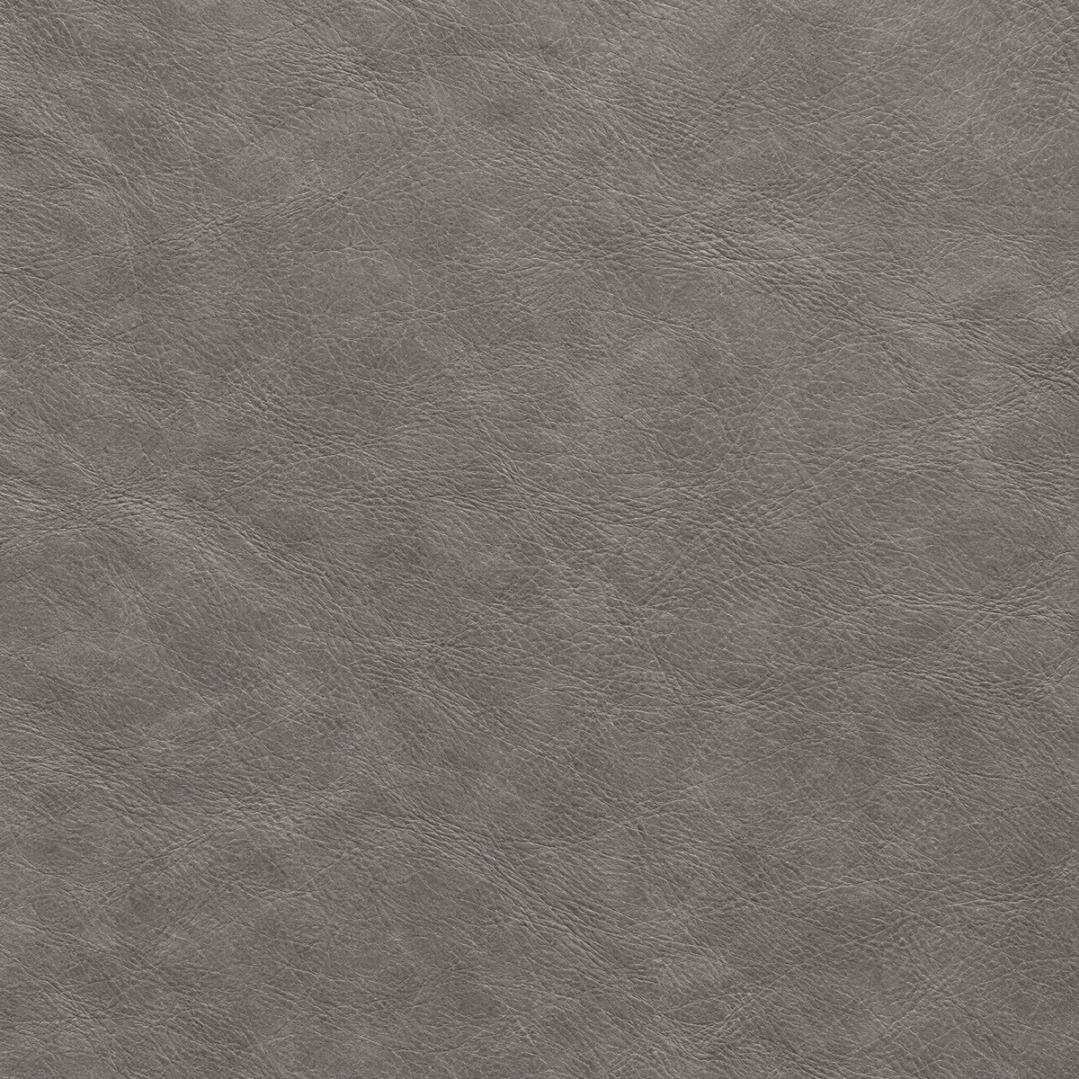 lance grey feature1