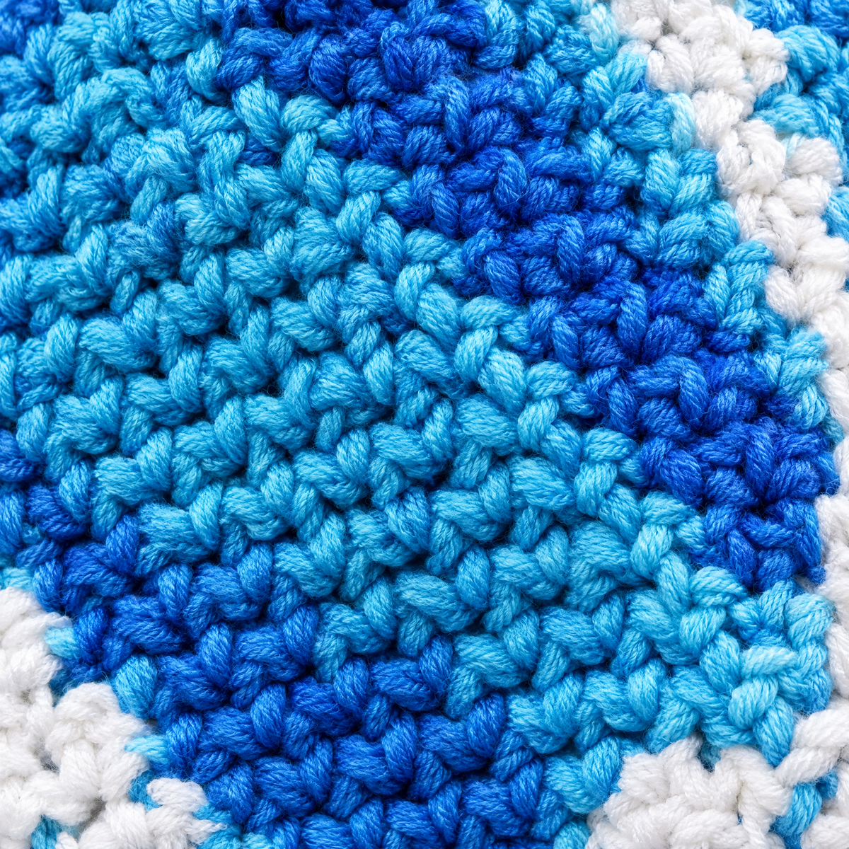 octopus blue white feature1
