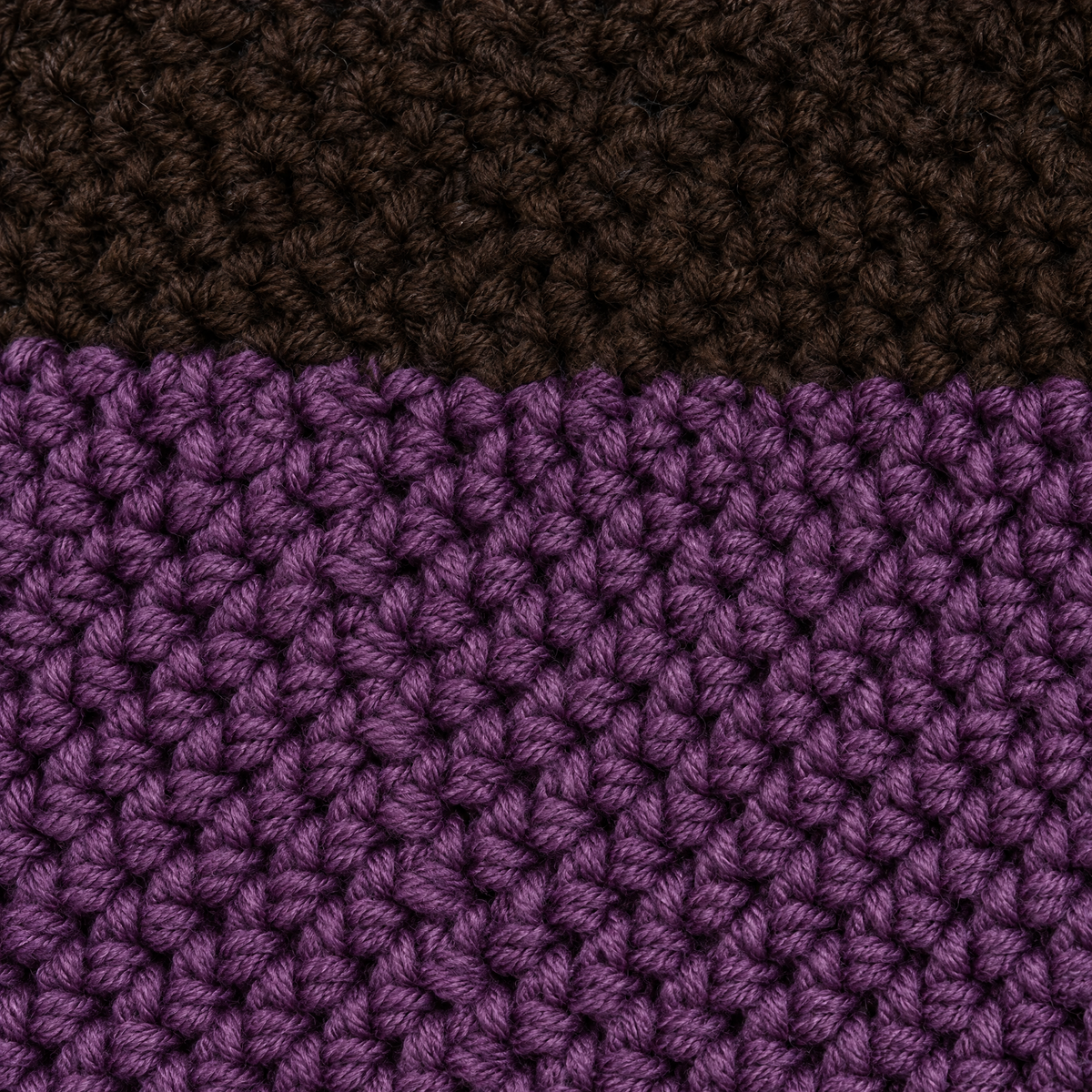 octopus dark coffee purple feature1
