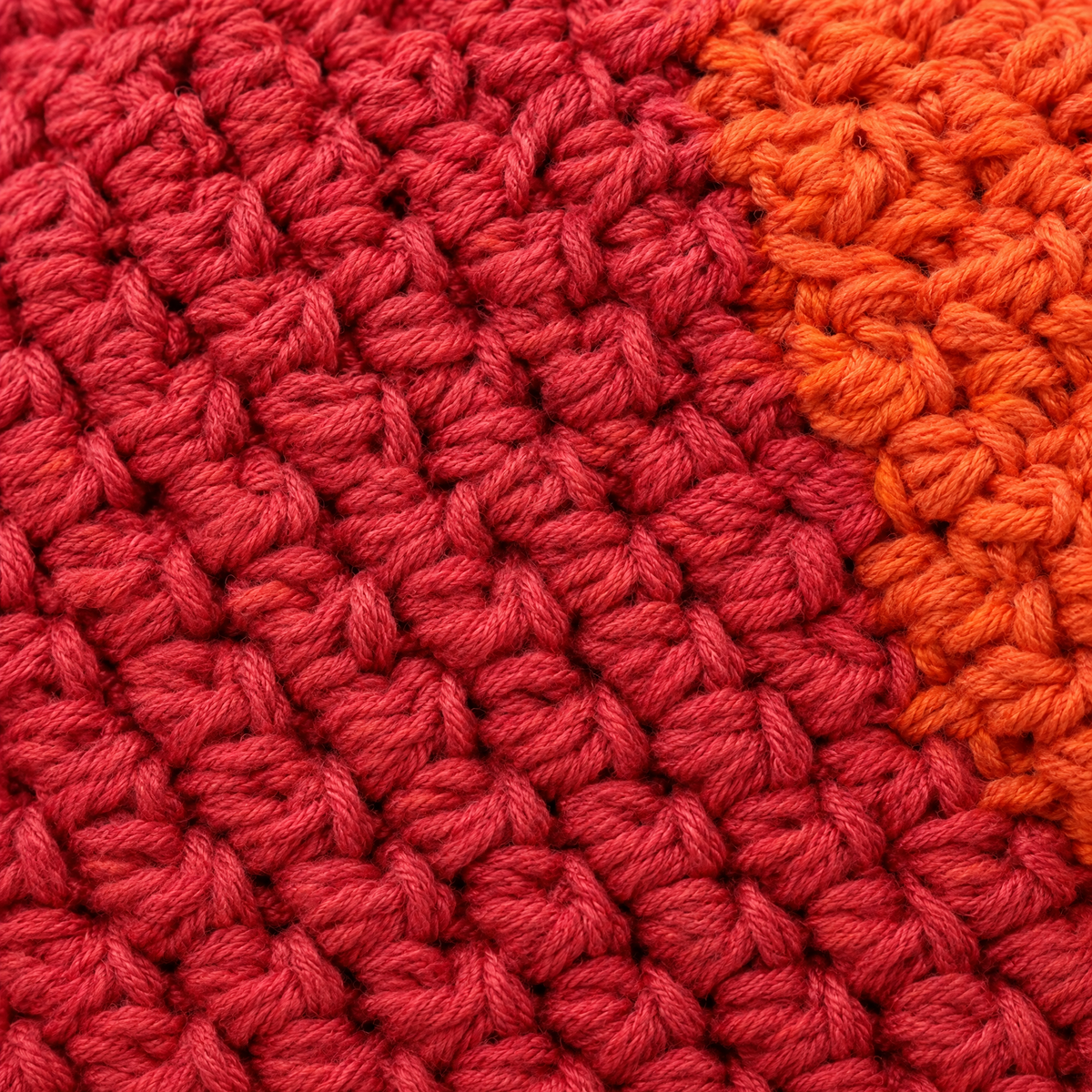 octopus red orange feature1