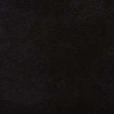 Men's The Moto Jacket in Black Steerhide