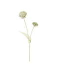 Tul Flower - Aloe — Decor