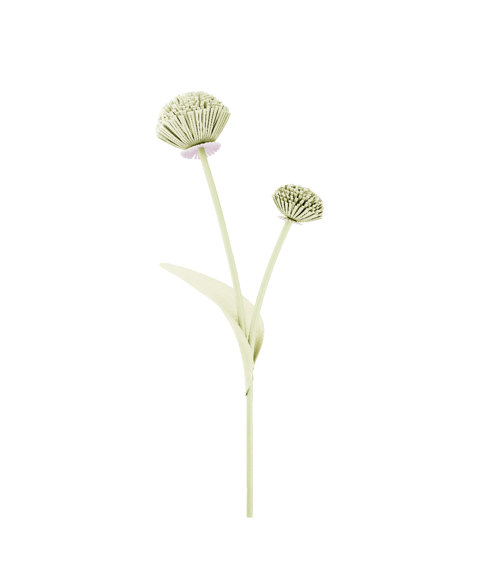 Tul Flower - Aloe — Decor