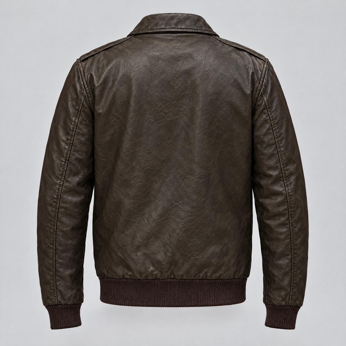 Men's Chris Big & Tall Leather Bomber Jacket — Deep Brown — product-back